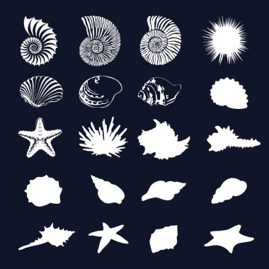 Set of silhouettes of various sea shells, corals and ora stars (20 pieces)