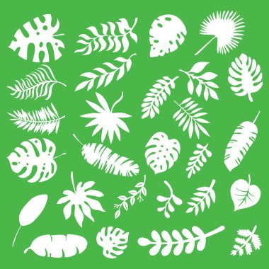Картина, постер, плакат, фотообои "набор тропических растений и листьев. коллекция различных тропических листьев.", артикул 573976382