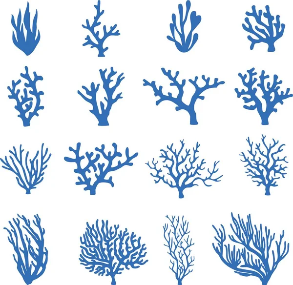 Conjunto Plantas Submarinas Corales — Vector de stock