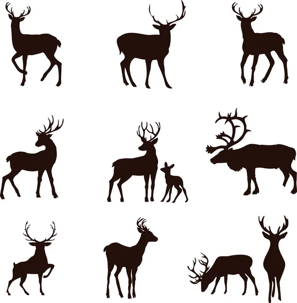 Set Deer Silhouettes Pieces — Stock Vector