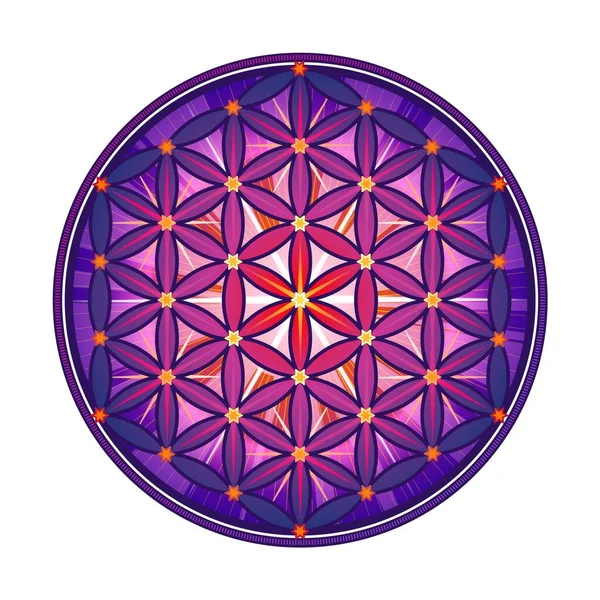 Símbolo Violeta Flor Vida Flor Vida Símbolo Geometria Sagrada Linguagem —  Vetores de Stock