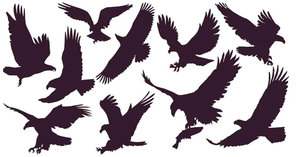 Kartallar. Kuş kral seti. 10 kartal silueti. Gökyüzünde kanat açıklığıyla uçan bir kartal saldırıyor..