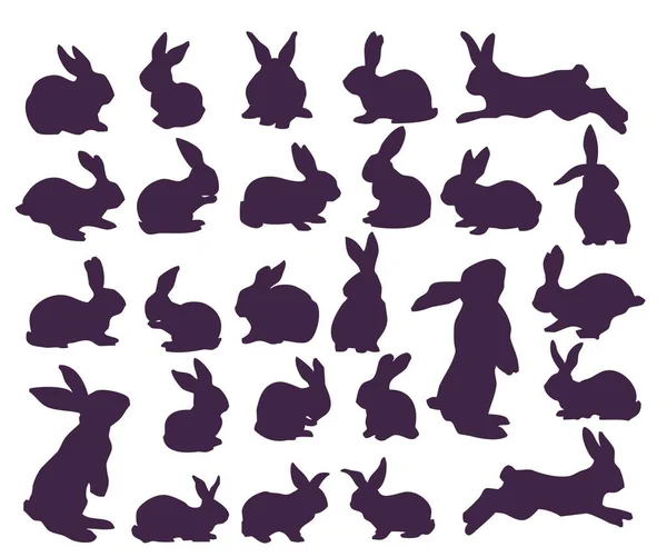 兔子和兔子的一组轮廓 26件 — 图库矢量图片