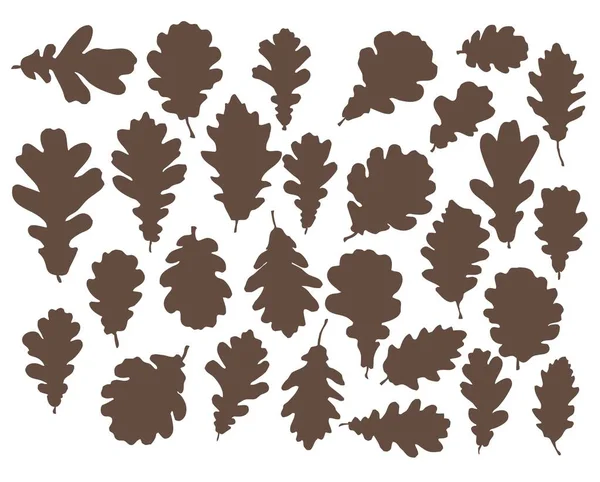 オークの葉のシルエットのセット 様々な形のオークの葉 — ストックベクタ