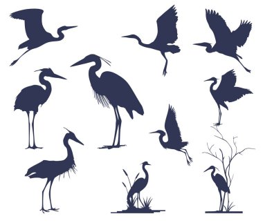 On balıkçıl silueti.