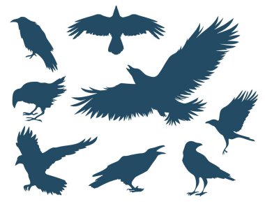 Set of eight crows silhouettes