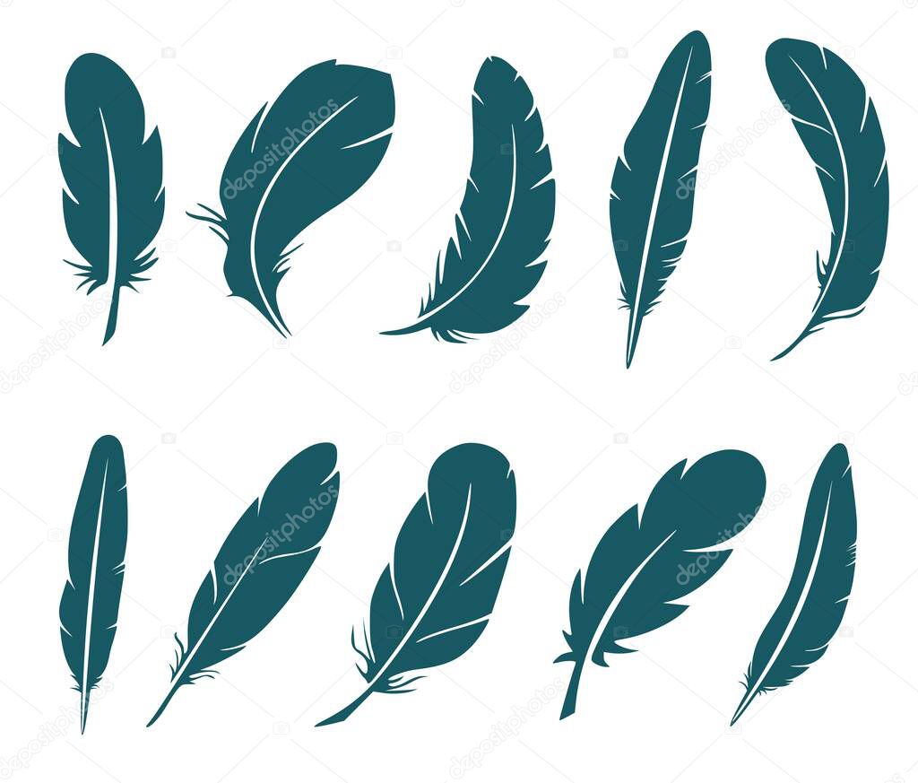 Set of eight silhouettes of bird feathers