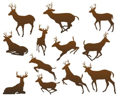 Set of wild deer silhouettes