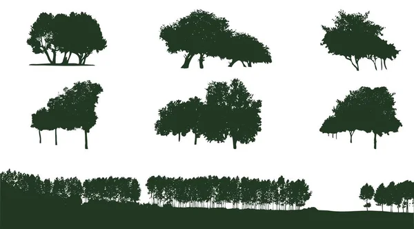 Set Deciduous Trees Silhouettes — Image vectorielle