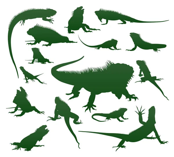 Set of iguana lizard silhouettes