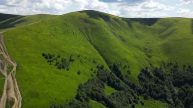 Ukrayna Karpatları 'ndaki Gimba Dağı' nın kuzey yamaçları 