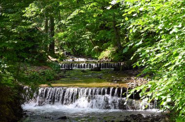 Her iki kıyısında bitki örtüsü olan bir dağ nehrinin hızlı akışı