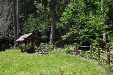 Ormanın kenarında dinlenme yeri