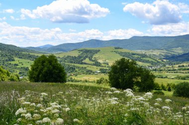 resim gibi ve güzel dağ manzarası
