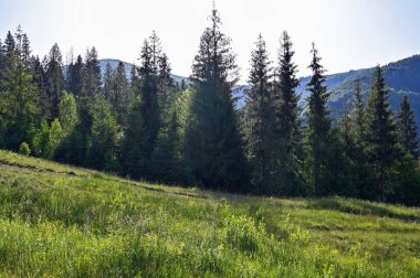 resim gibi ve güzel dağ manzarası