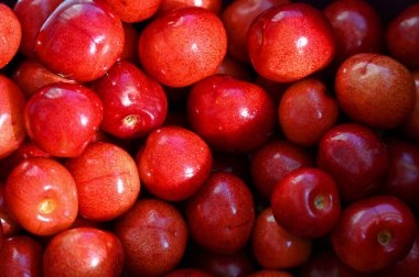 Bahçeden kiraz meyveleri 