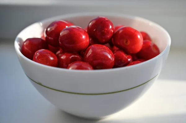 Bayas Cereza Del Jardín Del Patio Trasero — Foto de Stock