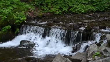 Dağ nehri dağ yamacından aşağı akıyor.