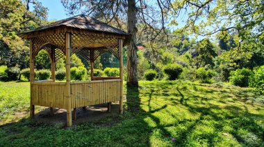 Botanik bahçesindeki oturma yerinde. 