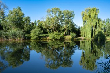 the blue sky is reflected in the picturesque lake 