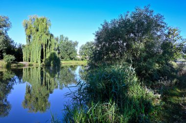 Mavi gökyüzü resim gibi göle yansıyor. 