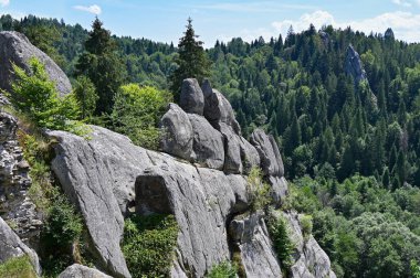 Ortaçağ savunma kompleksi kaya kalesi Tustan 