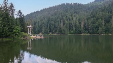 Lake Synevyr surrounded by forests in the mountains