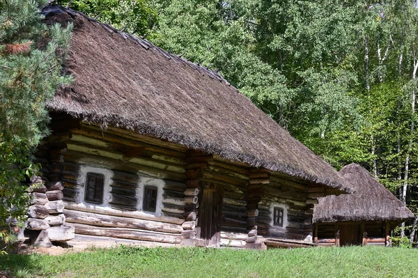 Старий Будинок Останнього Століття Українському Селі — стокове фото