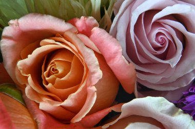 Kırmızı ve pembe güller güzel bir bukette 