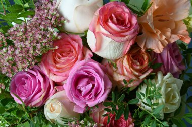 Güzel pembe ve beyaz güller 