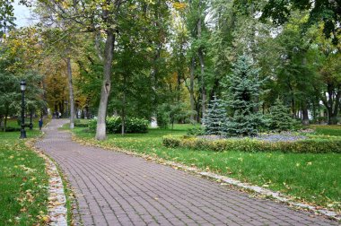 Kyiv şehrinin parkında yol
