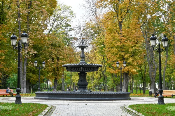 Kyiv şehrindeki parkta bir çeşme 