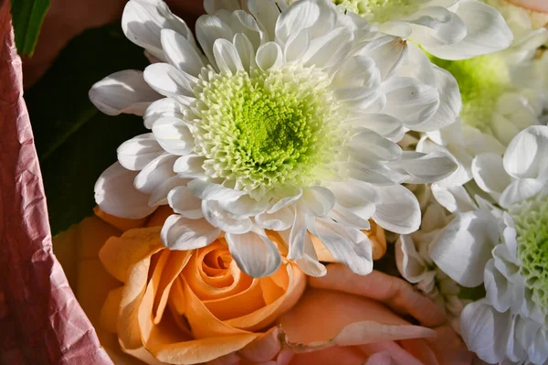 Roses Roses Gerberas Blancs Dans Beau Bouquet — Photo