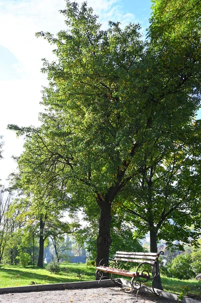 Parktaki bankta ziyaretçi bekliyor.