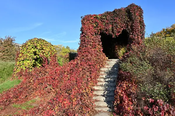 Arco Hojas Jardín Botánico Ciudad Kiev — Foto de Stock