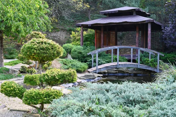 Japanese Garden Botanical Garden City Kyiv — Stock Photo, Image