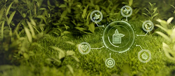 Geliştirme için yeni olanaklar sunan kavramsal kavram Kaynaklar yenilenebilir, sürdürülebilir geliştirme 3B