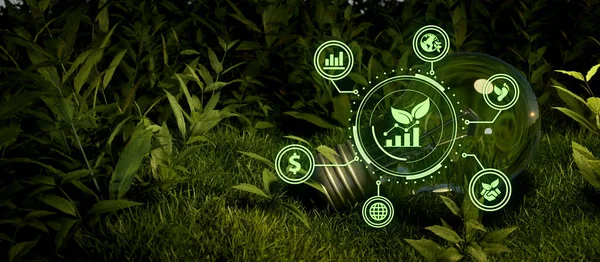 Graphic Resources Sustainable Development Biodiversity Growing Economy Technology Lightbulb Esg — Stockfoto
