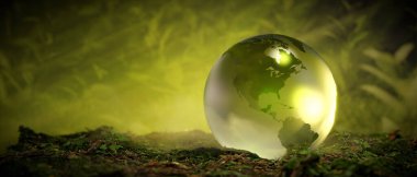 Green Crystal Globe Moss Ferns Environmental Concept, 3D Render