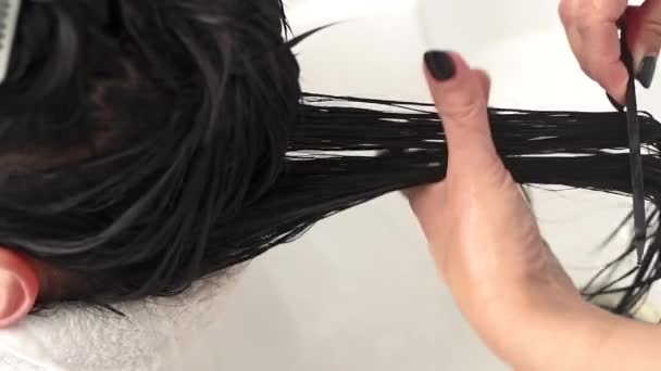 Косметолог Наносить Маску Волоссі Розчісувати Чорне Волосся Пацієнта Плюс Розмір — стокове відео