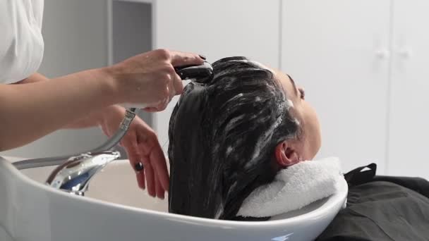 Cosmetologist Washes Girl's Head Shampoo Further Procedures Black Hair Size  — Stock Video © Dementievd7 #574011550