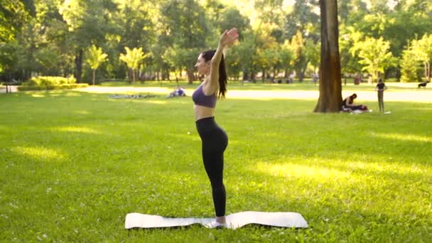 Una Ragazza All Aperto Nel Parco Entra Sport Top Sportivo — Video Stock