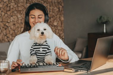 Midi klavyesinde köpek maltosuyla müzik oluşturulması