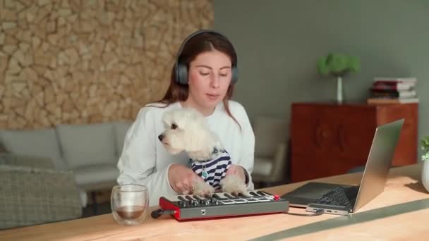 Musikproduktion Auf Midi Tastatur Mit Hund Maltesisch — Stockvideo