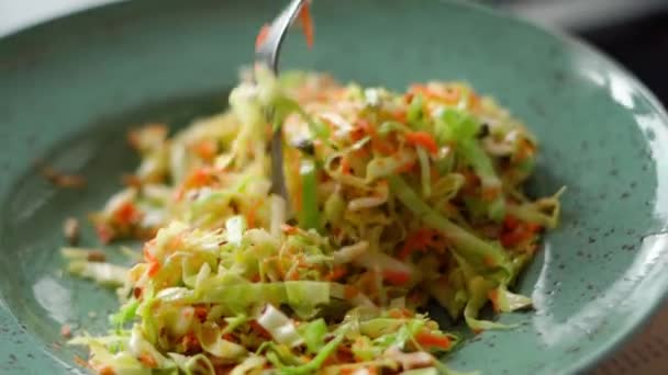 キャベツと人参で夏野菜サラダを食べる — ストック動画