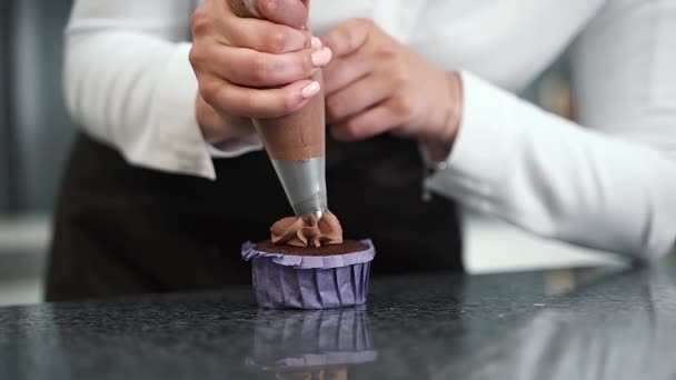 シェフはブラウンクリームを紫で包んだブラウンカップケーキに適用します — ストック動画
