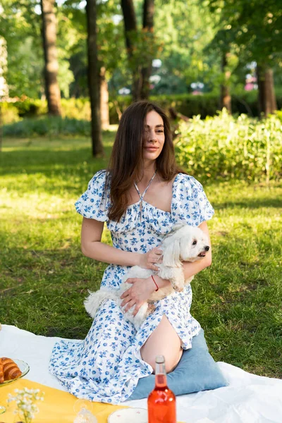 a girl on a picnic holds a dog in a blue dress. In the park