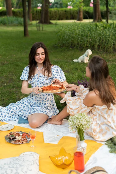 İki kız doğada parkta bir piknikte pizza yiyorlar. Mavi elbise, sarı elbise. büyük çerçeve