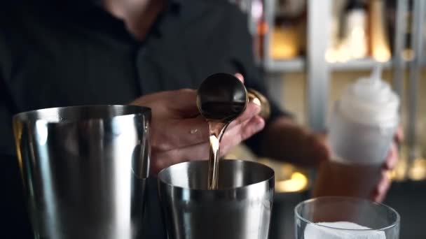Bartender Prepares Cocktail Bar Club Pours Alcohol Syrups Uses Ice — Stock Video