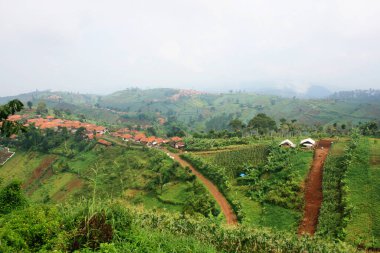 the view of the village in the morning